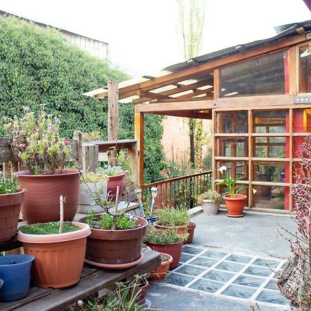 Casa Panqarani Bed & Breakfast Puno Luaran gambar